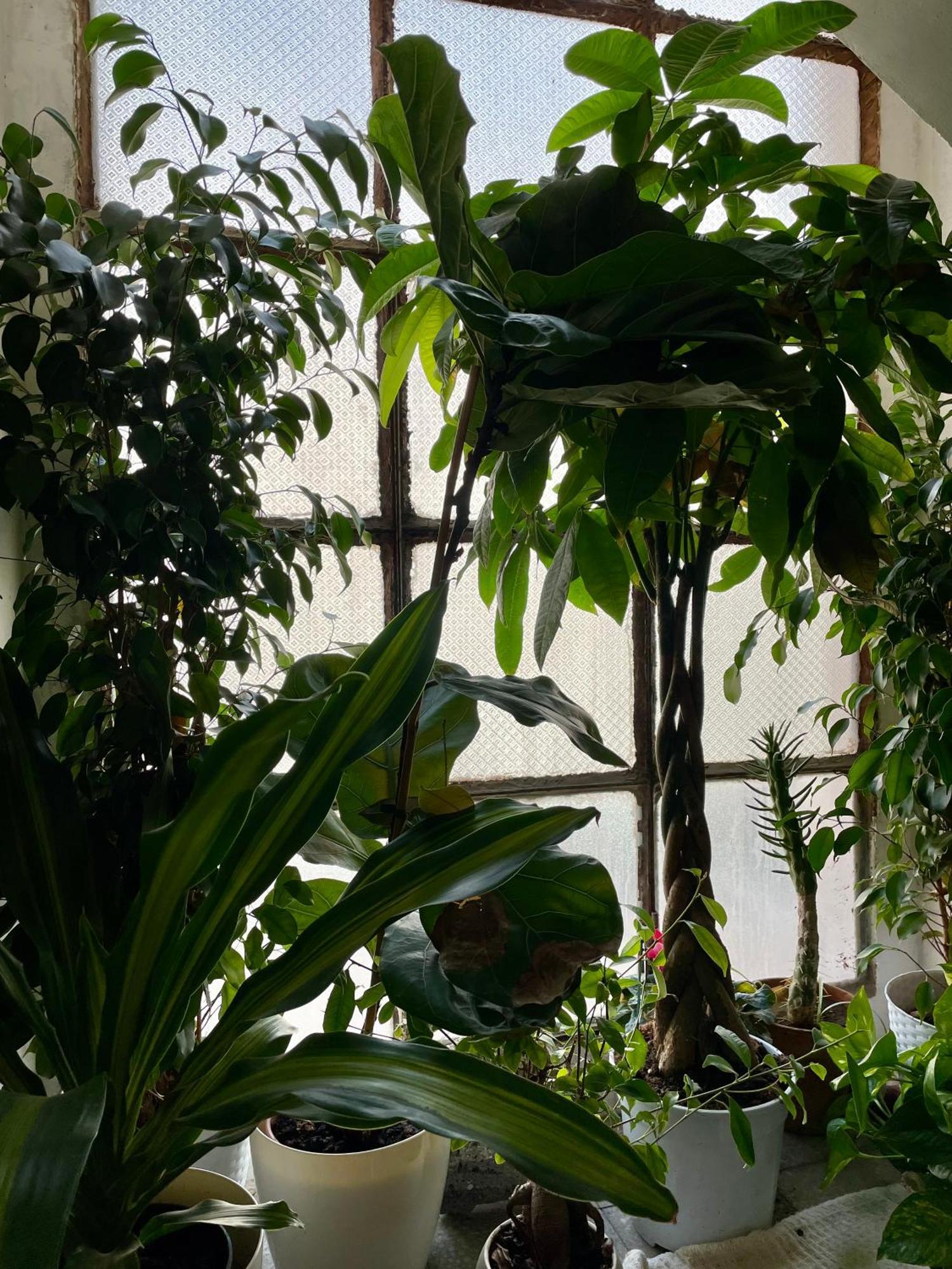 Lorenzo'S House Catania City Centre - Comfortable Large Apartment With 2 Bedrooms And 2 Baths, Close To Trains, Metro And Bus Station Esterno foto
